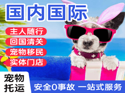 五台山航空邮寄国际宠物托运 【国